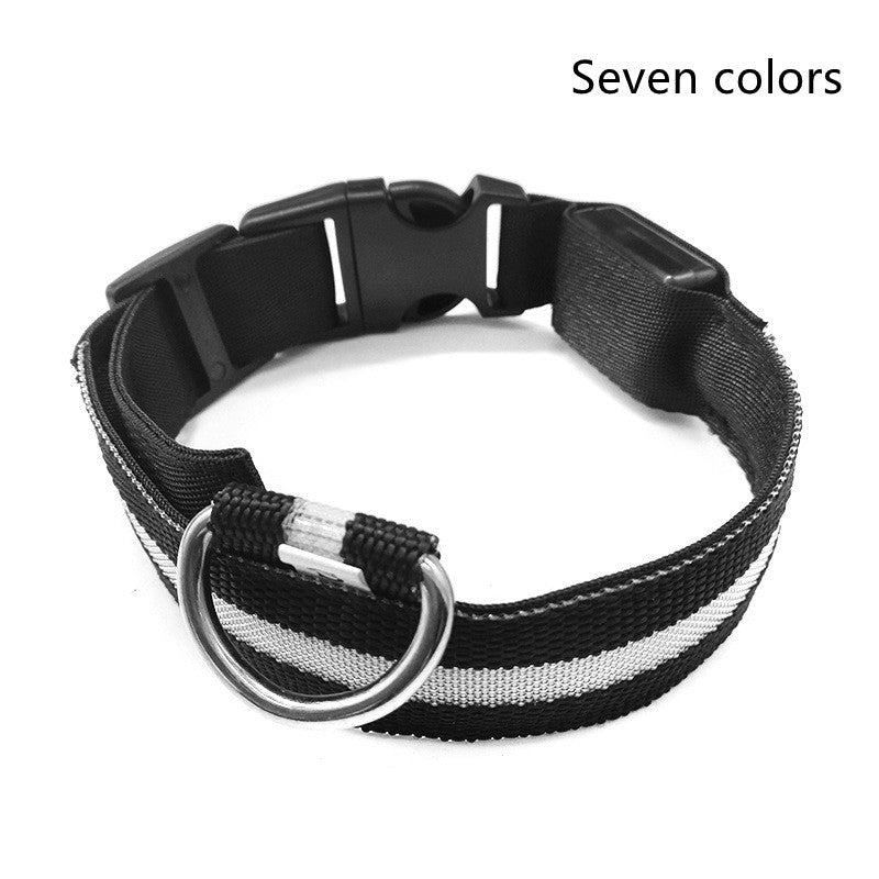 LED Pet Collar – Glow in Dark Safety for Dogs