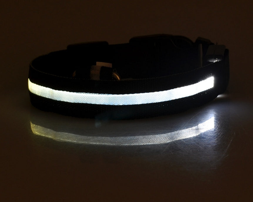 LED Pet Collar – Glow in Dark Safety for Dogs
