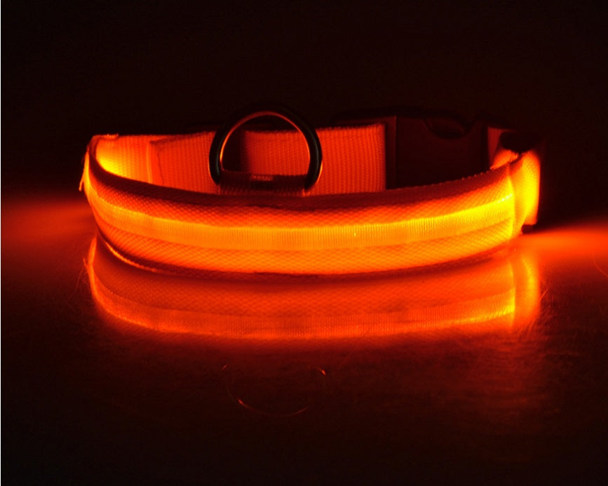 LED Pet Collar – Glow in Dark Safety for Dogs