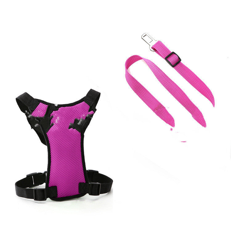 Breathable Mesh Pet Harness – Safe, Adjustable, Comfortable Fit