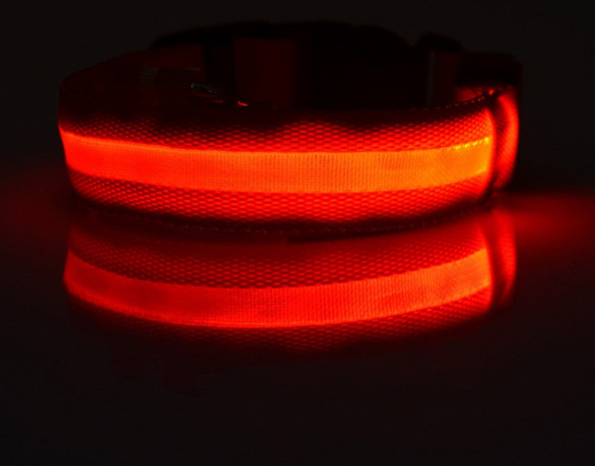 LED Pet Collar – Glow in Dark Safety for Dogs