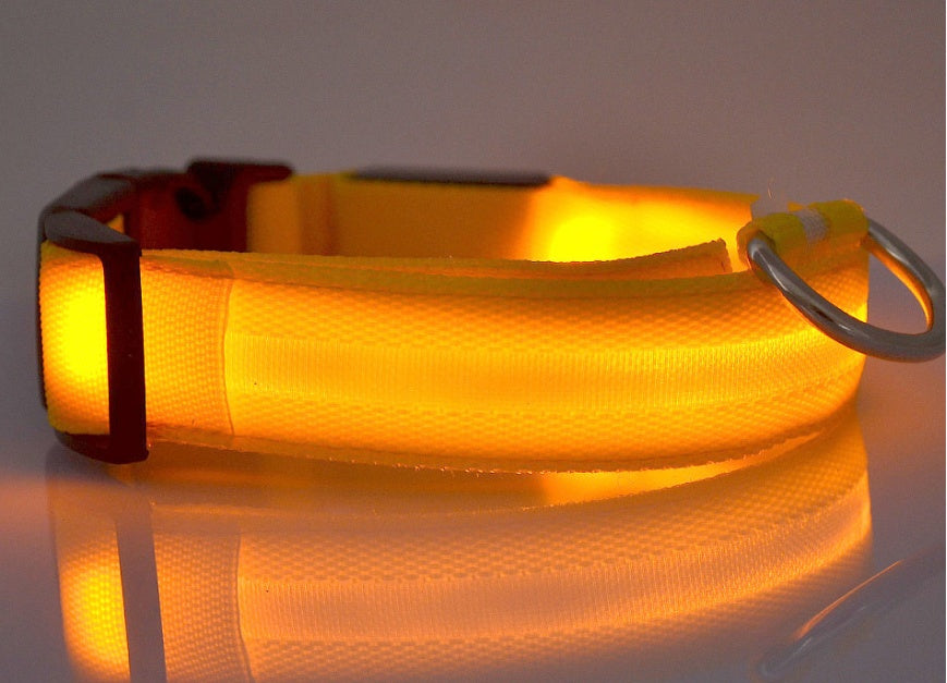 LED Pet Collar – Glow in Dark Safety for Dogs