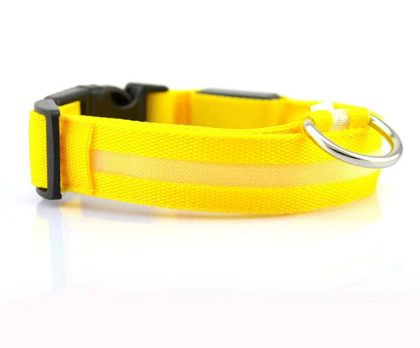 LED Pet Collar – Glow in Dark Safety for Dogs