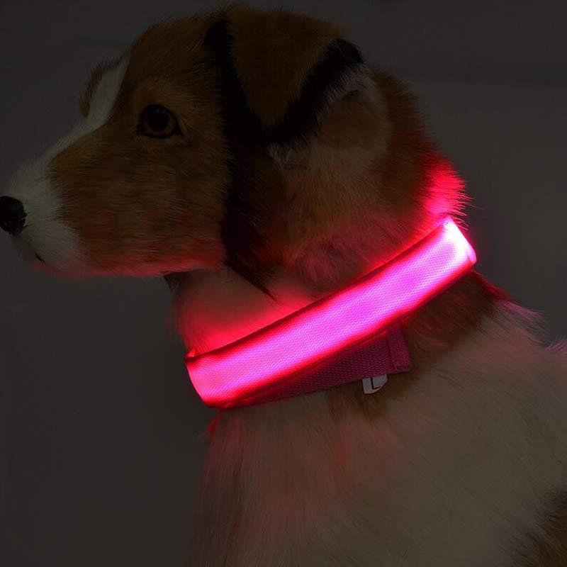 LED Pet Collar – Glow in Dark Safety for Dogs
