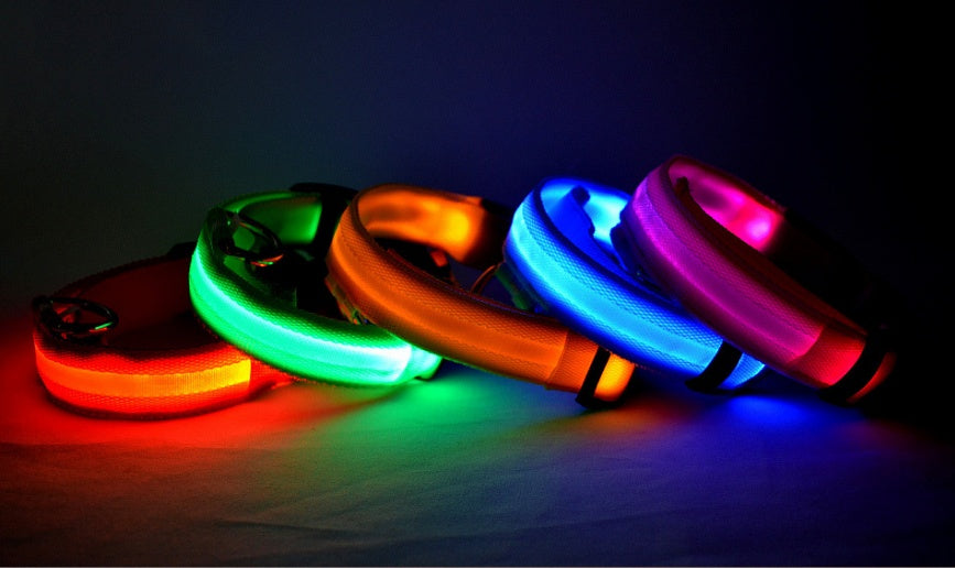LED Pet Collar – Glow in Dark Safety for Dogs