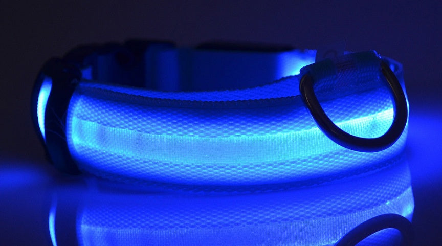 LED Pet Collar – Glow in Dark Safety for Dogs