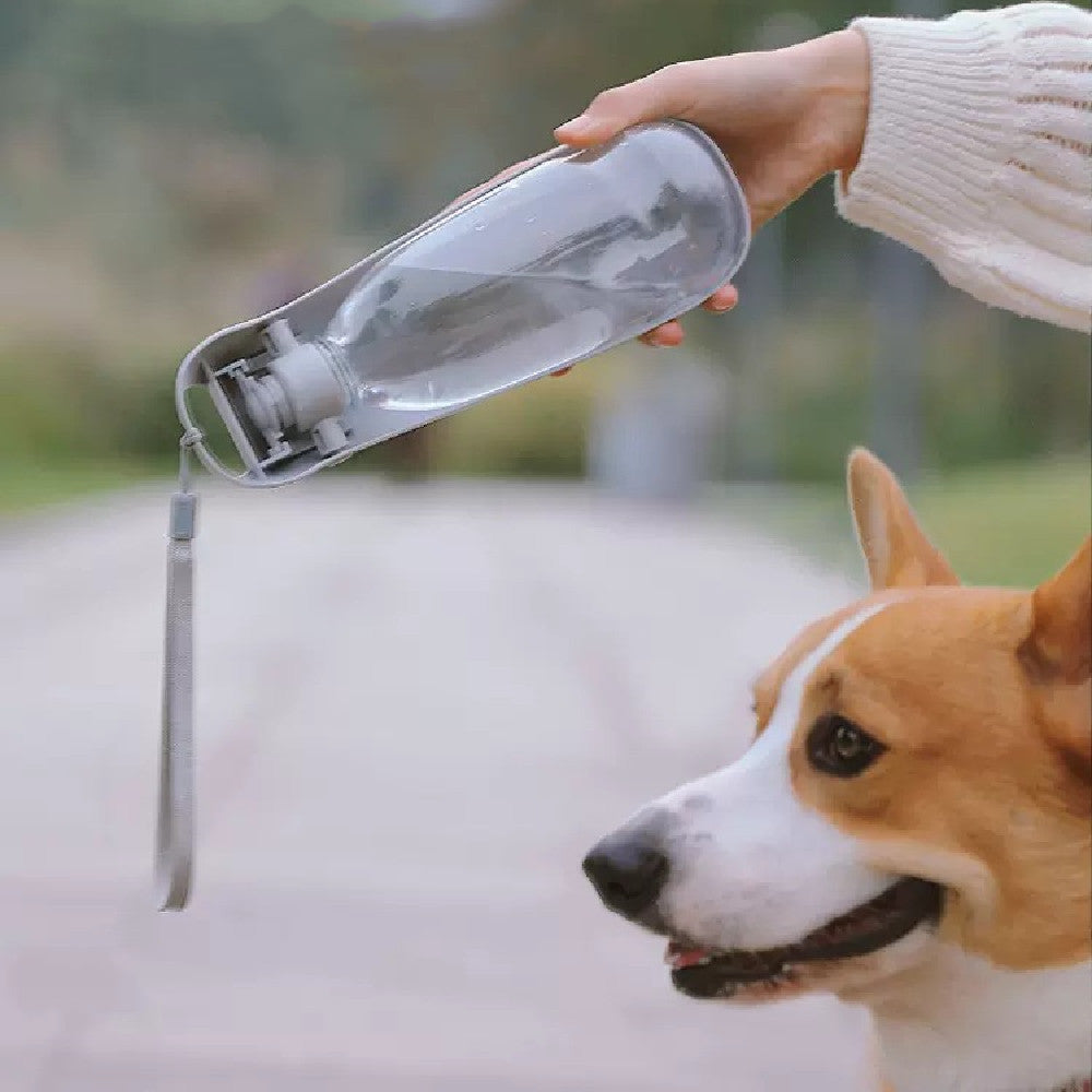 Foldable Pet Water Bottle – Easy Drinking for Dogs on Walks